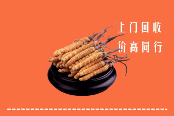 高价求购：阜宁县回收散虫草